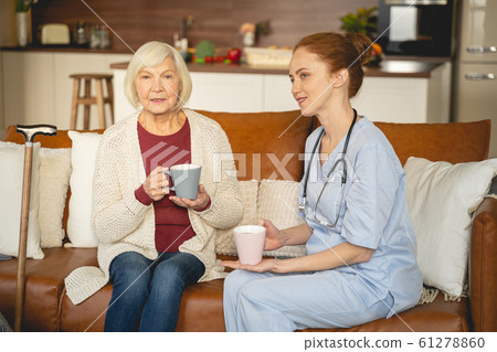 Senior female person holding cup of tea Senior female person holding cup of tea 61278860