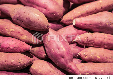 很多紅薯 很多紅薯 61279051