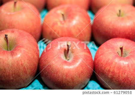 Lots of Fuji apple up Lots of Fuji apple up 61279058