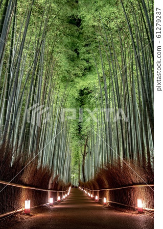 《Kyoto》 Arashiyama Hanatouro, a small diameter of bamboo grove 《Kyoto》 Arashiyama Hanatouro, a small diameter of bamboo grove 61279287