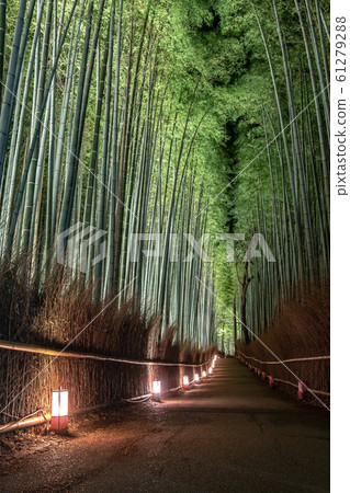 《Kyoto》 Arashiyama Hanatouro, a small diameter of bamboo grove 《Kyoto》 Arashiyama Hanatouro, a small diameter of bamboo grove 61279288