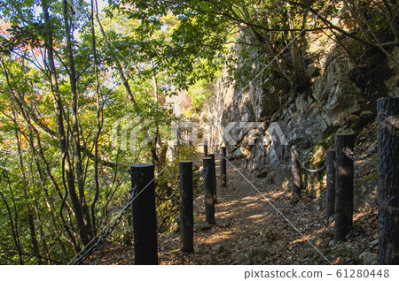 Autumn leaves of the Tenranzan mountain trail near the rocky area Autumn leaves of the Tenranzan mountain trail near the rocky area 61280448