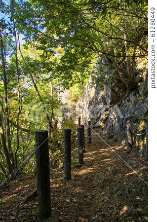 Tenranzan的秋葉-Jiroku Arhat附近的山路 Tenranzan的秋葉-Jiroku Arhat附近的山路 61280449