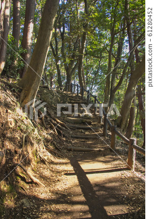 Autumn leaves of Tenranzan-a mountain trail near Jiroku Arhat 61280452
