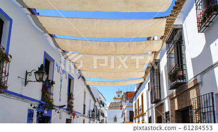 Cordoba Patio Festival [Spain] 61284553