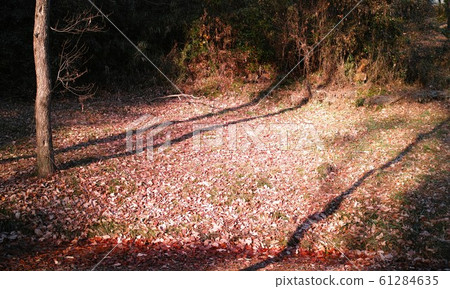 冬季形象 61284635