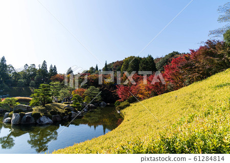 Sankeien Momiji 14 61284814