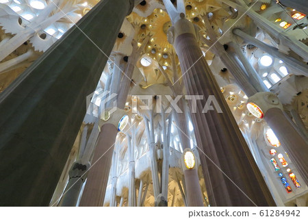 Sakurada Familia Sakurada Familia 61284942