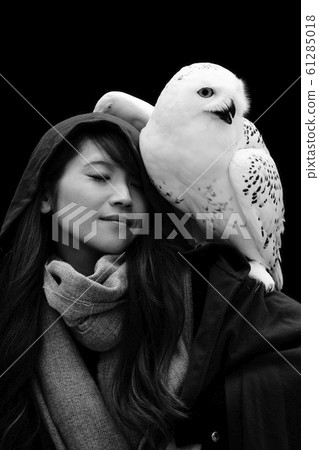 Owl with female model 61285018