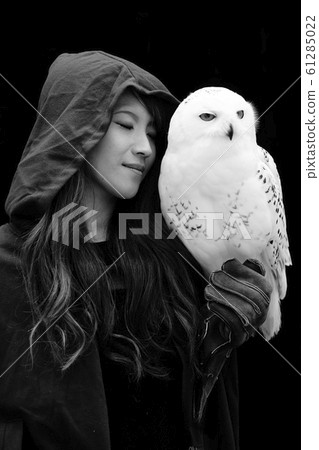 Owl with female model Owl with female model 61285022