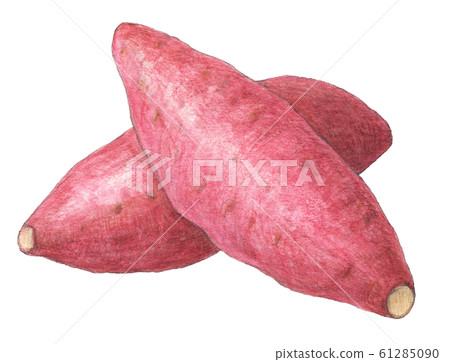 Sweet potato vegetable hand-painted watercolor Sweet potato vegetable hand-painted watercolor 61285090