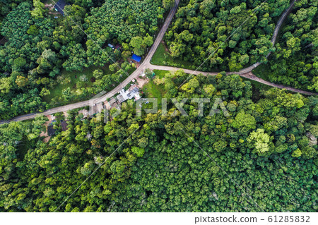 Aerial view tropical green forest with road on Aerial view tropical green forest with road on 61285832