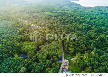 Aerial view tropical green forest with road on Aerial view tropical green forest with road on 61285835
