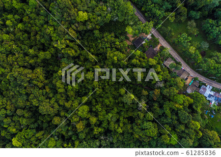 Aerial view tropical green forest with road on Aerial view tropical green forest with road on 61285836