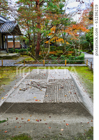 本能寺白蘭丹（京都） 61286219