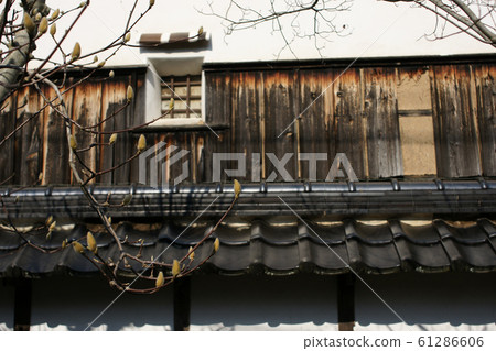 鳥取四時春春千代川 鳥取四時春春千代川 61286606