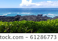 Hawaii 61286773