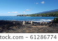 Hawaii 61286774