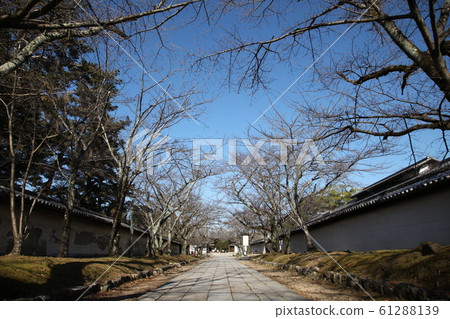 Daigoji Daigoji 61288139