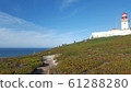 Portugal 61288280