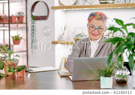 executive senior business lady sitting at office desk using her laptop executive senior business lady sitting at office desk using her laptop 61288313