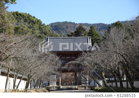 Daigoji 61288515