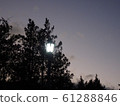 樹木和路燈的夜景 61288846