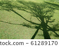Tree shadow on green grass. 61289170