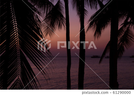 Palm trees silhouette on sunset background at the sea. Tropical evening. Palm trees silhouette on sunset background at the sea. Tropical evening. 61290000
