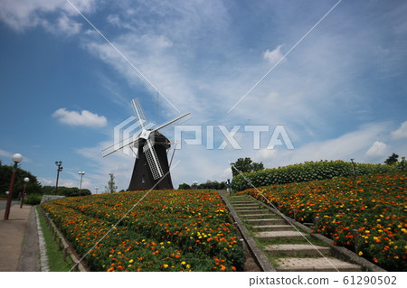 Tsurumi Ryokuchi Park　 61290502