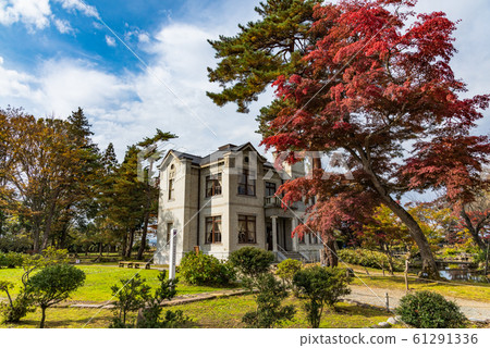 Autumn leaves of the old Ikeda garden 61291336