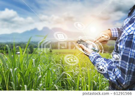 Innovation technology for smart farm system, Innovation technology for smart farm system, 61291566