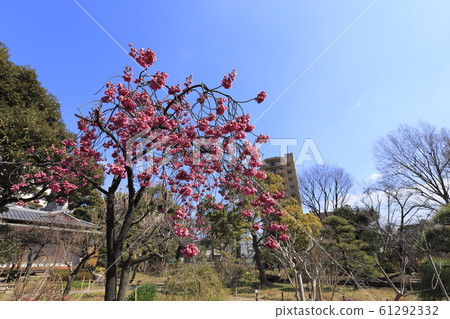 東京都墨田區 東京都墨田區 61292332