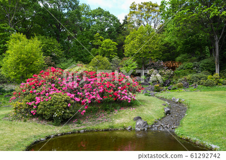 赤城自然公園春天 赤城自然公園春天 61292742