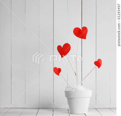 Heart haped flowers in white pot Heart haped flowers in white pot 61293497