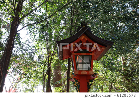 Fushimi-Inari Taisha  61293578