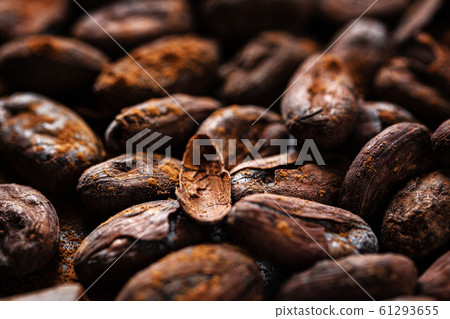 Cacao beans on plate closeup 61293655