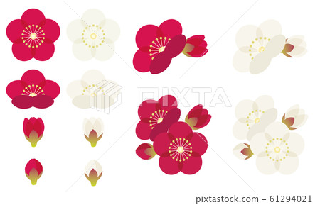 Plum blossoms Plum blossoms 61294021