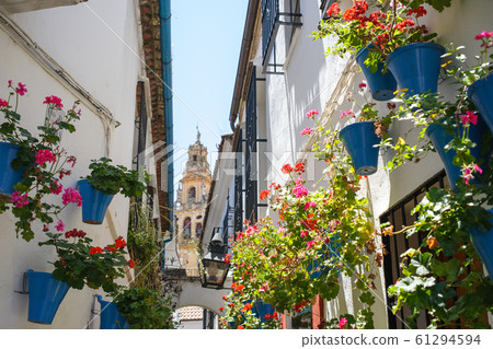 Flower path Cordoba [Spain] 61294594