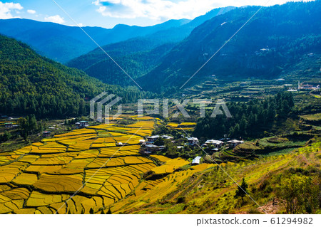 Bhutan Paro Rice Terraces Bhutan Paro Rice Terraces 61294982