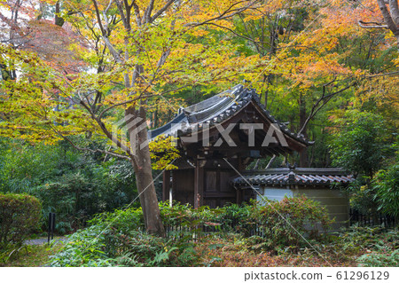 Visiting the temple at the temple at Sengakuji Temple in Kyoto 61296129