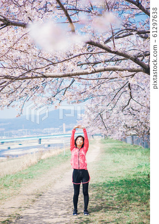 Sakura Women Stretch Sakura Women Stretch 61297638