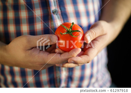 obesity prevention, vegetarian diet, healthy food obesity prevention, vegetarian diet, healthy food 61297918