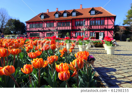 船橋安徒生公園的冰鬱金香和社區中心(12月)千葉縣船橋市 船橋安徒生公園的冰鬱金香和社區中心(12月)千葉縣船橋市 61298155