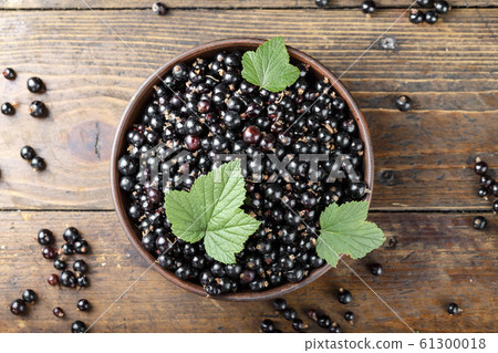 currant harvest on the table currant harvest on the table 61300018