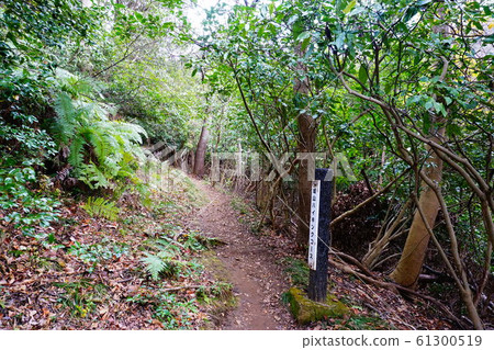 Mountain path to Izu Shiroyama 61300519