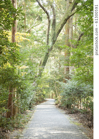 Green road Green road 61300591