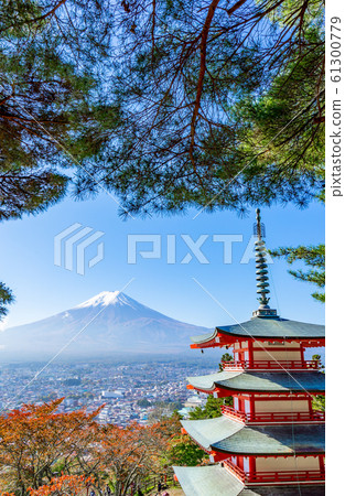 [Yamanashi Prefecture] Niikurayama Sengen Park 61300779