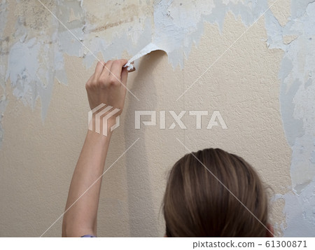 Hand removing old wallpaper during repair. 61300871