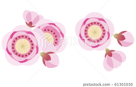桃花，桃花，花，娃娃節 61301030